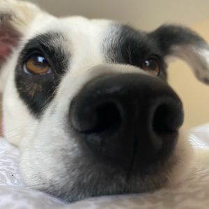 Meet your Posher, Gia